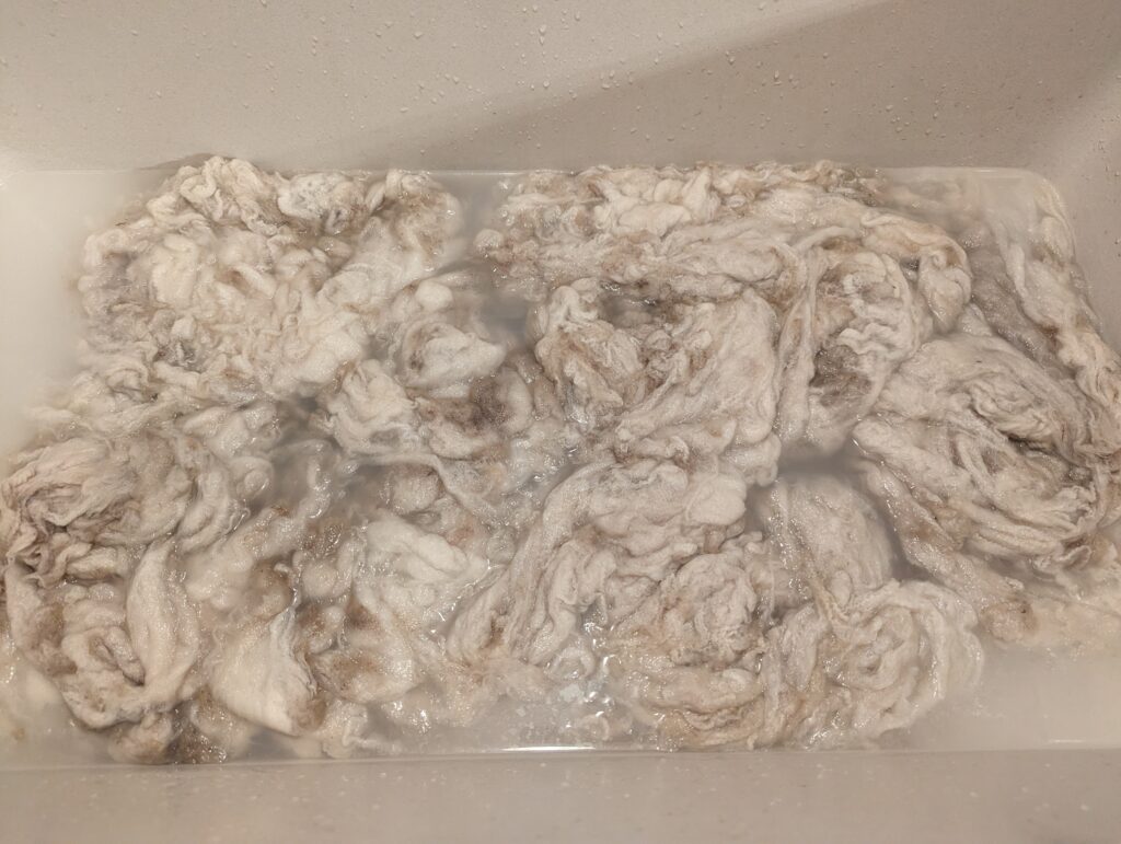 Washing raw wool in a kitchen sink with hot water and detergent