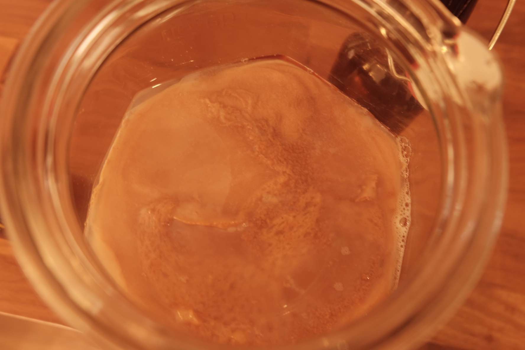 Close up image of a grown SCOBY from a store-bought bottle of kombucha